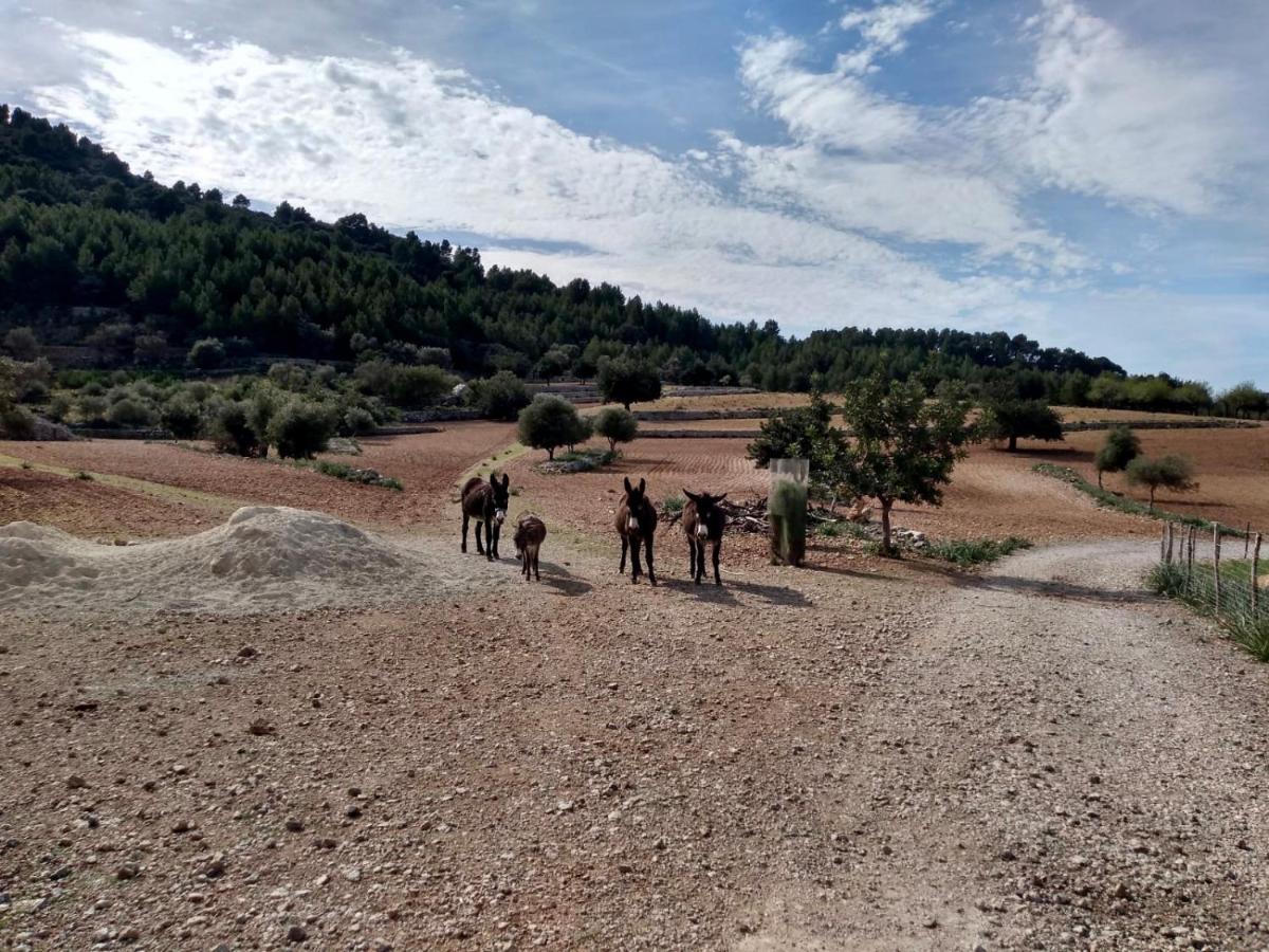 Sa Plana Petit Hotel Estellencs  Luaran gambar